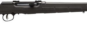 SAVAGE A17 17HMR SPORTER 22" - 10-SH ACCU TGR BLUED/BLK SYN