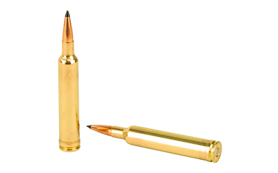 WBY AMMO 6.5-300WBY 130GR SWIFT 20/ - Image 4