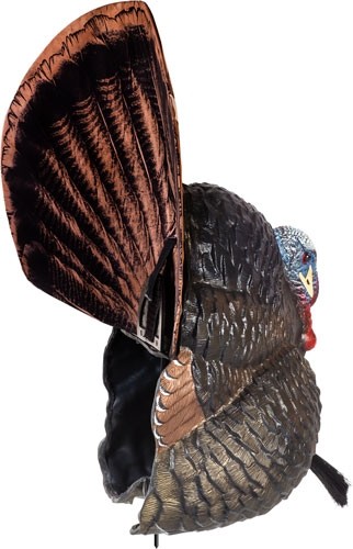 FLEXTONE THUNDER CREEPER - STRUTTER DECOY W/ FOLDING FAN - Image 2