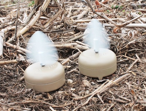 MOJO DOVE A FLICKER (4 PACK) - Image 3