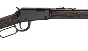 HENRY H1 GARDEN GUN 22WMR - 18.5" SMOOTH BORE BLUED WALNUT